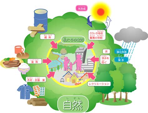 自然形態|自然界の多様な形態および パターン形成